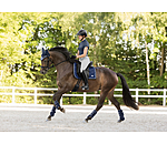 Gu�tres techniques  Swiss Design (Ant�rieurs)