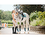 Gu�tres  Swiss Design (Post�rieurs)