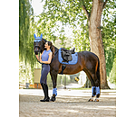 Gu�tres techniques  Mesh-Technology (ant�rieurs)