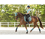 Gu�tres techniques  Mesh-Technology (post�rieurs)