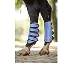 Gu�tres de dressage  Twotone (post�rieurs)