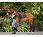 Gu�tres de dressage  Twotone (post�rieurs)