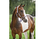 Licol anatomique  Sophistication