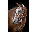 Licol anatomique  Sophistication