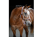 Licol anatomique  Sophistication