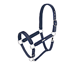 navy classique