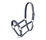 Licol  Swiss Design II