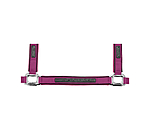 Licol  Mesh-Technology