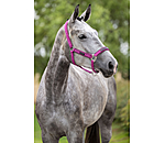 Licol  Mesh-Technology