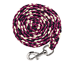 Longe avec mousqueton  Technology