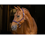 Licol  Twotone & Crystal