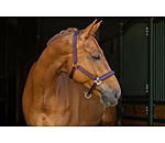 Licol  Twotone & Crystal