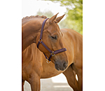 Licol  Twotone & Crystal