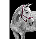 Licol  Signature III