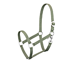 Licol en nylon  prix cass