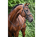 Bridon avec noseband et boucle amovibles  Mirissa
