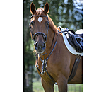 Bridon  Stitch