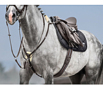 Collier de chasse lastique avec fourrure d'agneau  Quick Fit