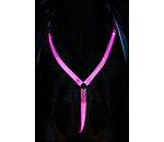 Collier de chasse LED  Loom