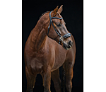 Hackamore flower