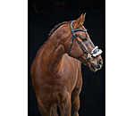 Hackamore avec doublure imitation fourrure