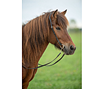 Mors olive pour islandais  LOCK-UP