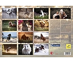 Calendriers 2024 Chevaux