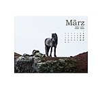 Calendrier Islandais 2026