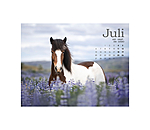 Calendrier Islandais 2026