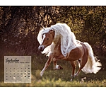 Haflinger Kalender 2025