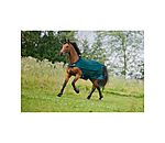 Couverture de marcheur anti-mouches  Economy Light