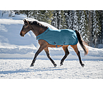 Chemise de marcheur en polaire  Activity