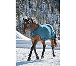 Chemise de marcheur en polaire  Activity