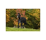 Couverture d'extrieur  Amigo Bravo 12 Original, 0 g