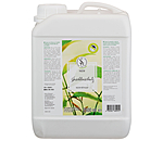 Protection anti-insectes  l'huile de neem