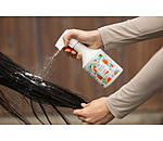 Shampoing en spray  Sensation estivale