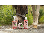 Spray � crins paillet�  Champion