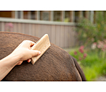 Brosse pour la mue  Timber