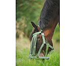 Chasse-mouches  prix conomique