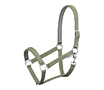 Licol en nylon  prix cass II