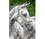 Licol en nylon  prix cass II