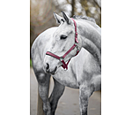 Licol en nylon � prix cass� II