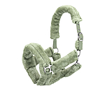 Licol en polaire Teddy  Protection