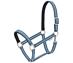 bleu dauphin