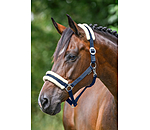 Licol en polaire Teddy  prix cass III