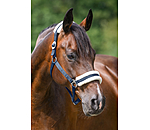 Licol en polaire Teddy  prix cass III