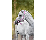 Licol pour poulains et shetlands  Grow With You