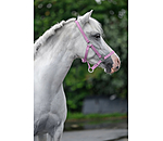 Licol pour poulains et shetlands  Grow With You