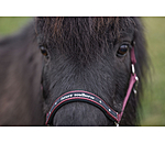 Licol pour poulains et shetlands  Future Star