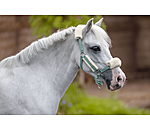 Licol poulain et shetland en polaire Teddy  Cozy Adjustable